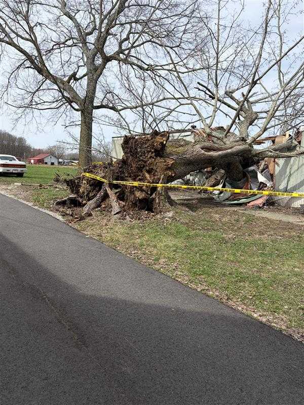 9-year-old boy dies in southern Indiana after tree falls on mobile home