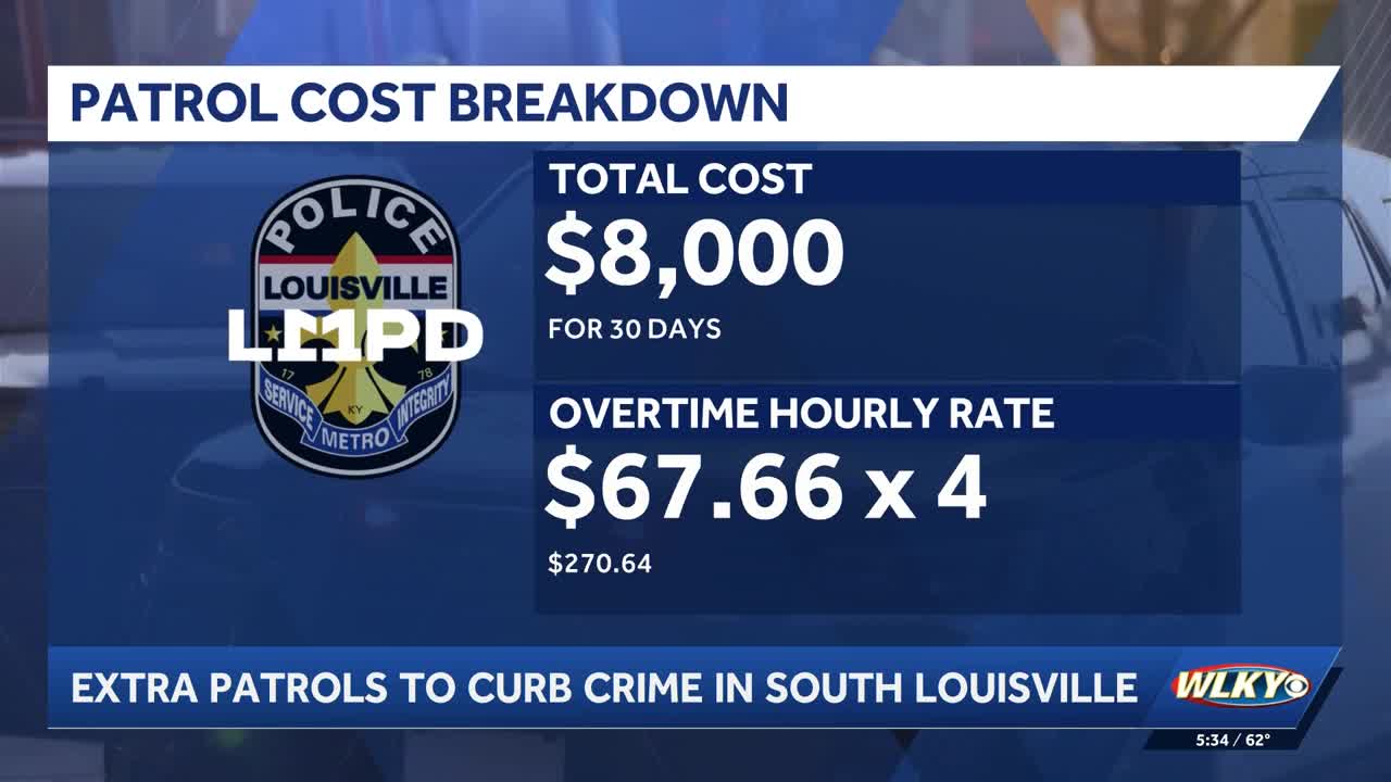 Council votes to increase police patrols in crime-ridden areas of south ...