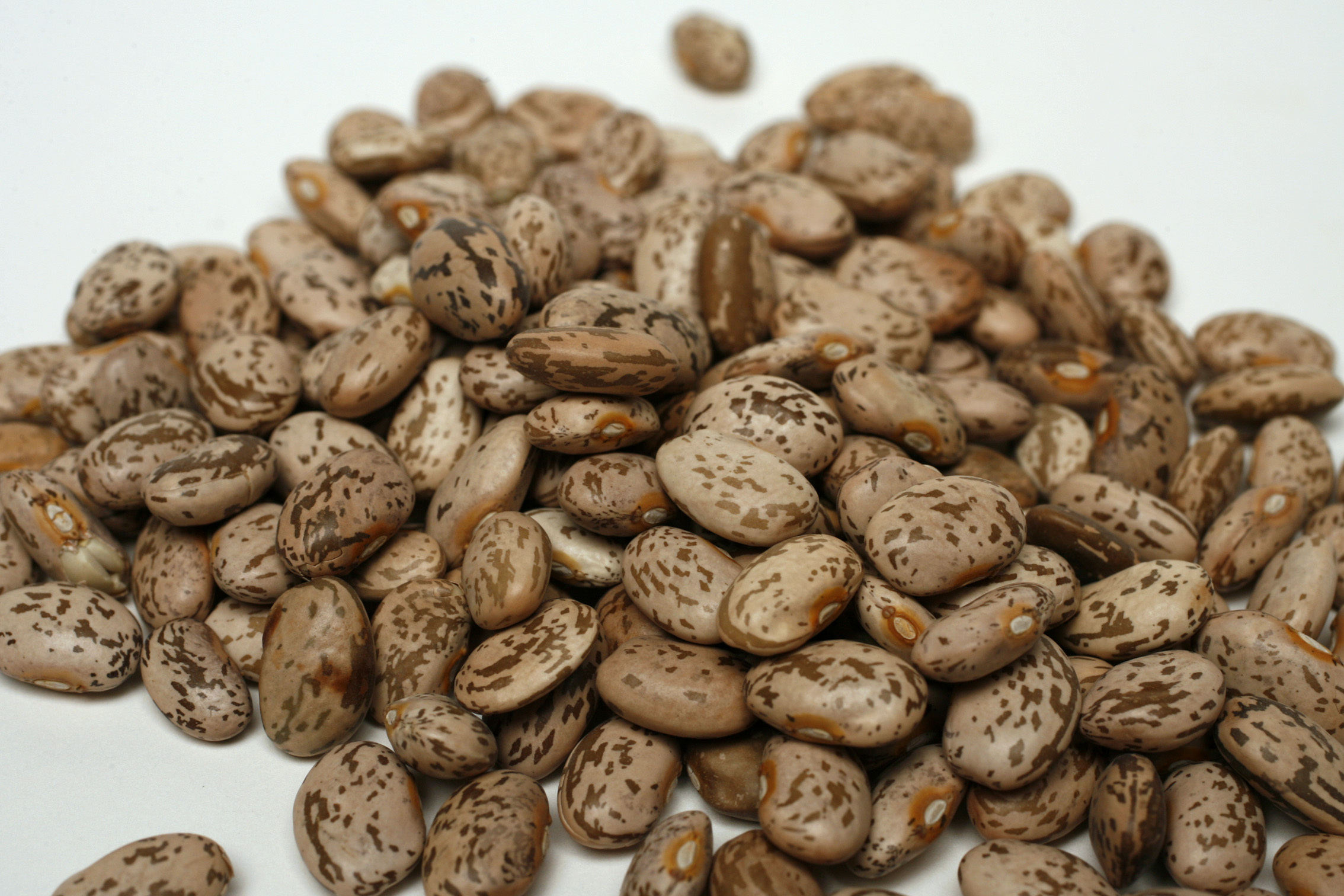 ICE detains man over suspected drugs, turns out to be dried pinto beans