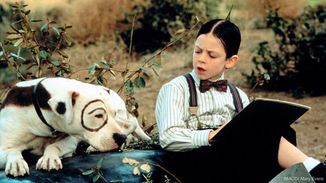 Bug Hall: 5 fascinating facts