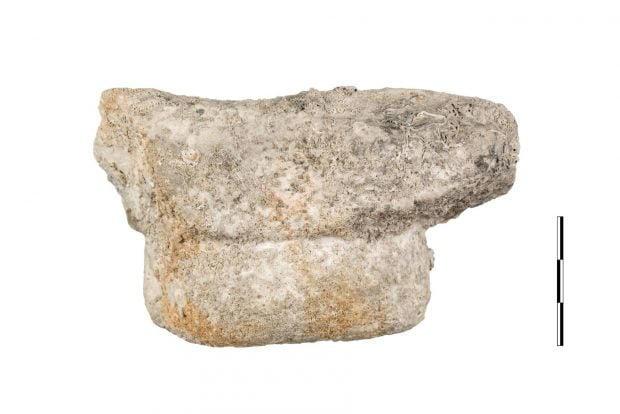 Golpe de efecto en la arqueología: encuentran un fragmento de mármol ...