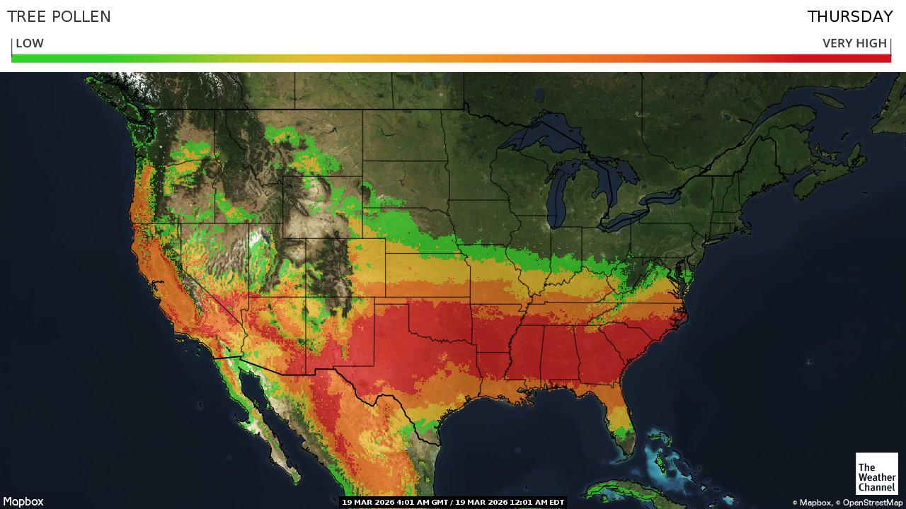 Traveling Soon? Here Are The Maps You Need