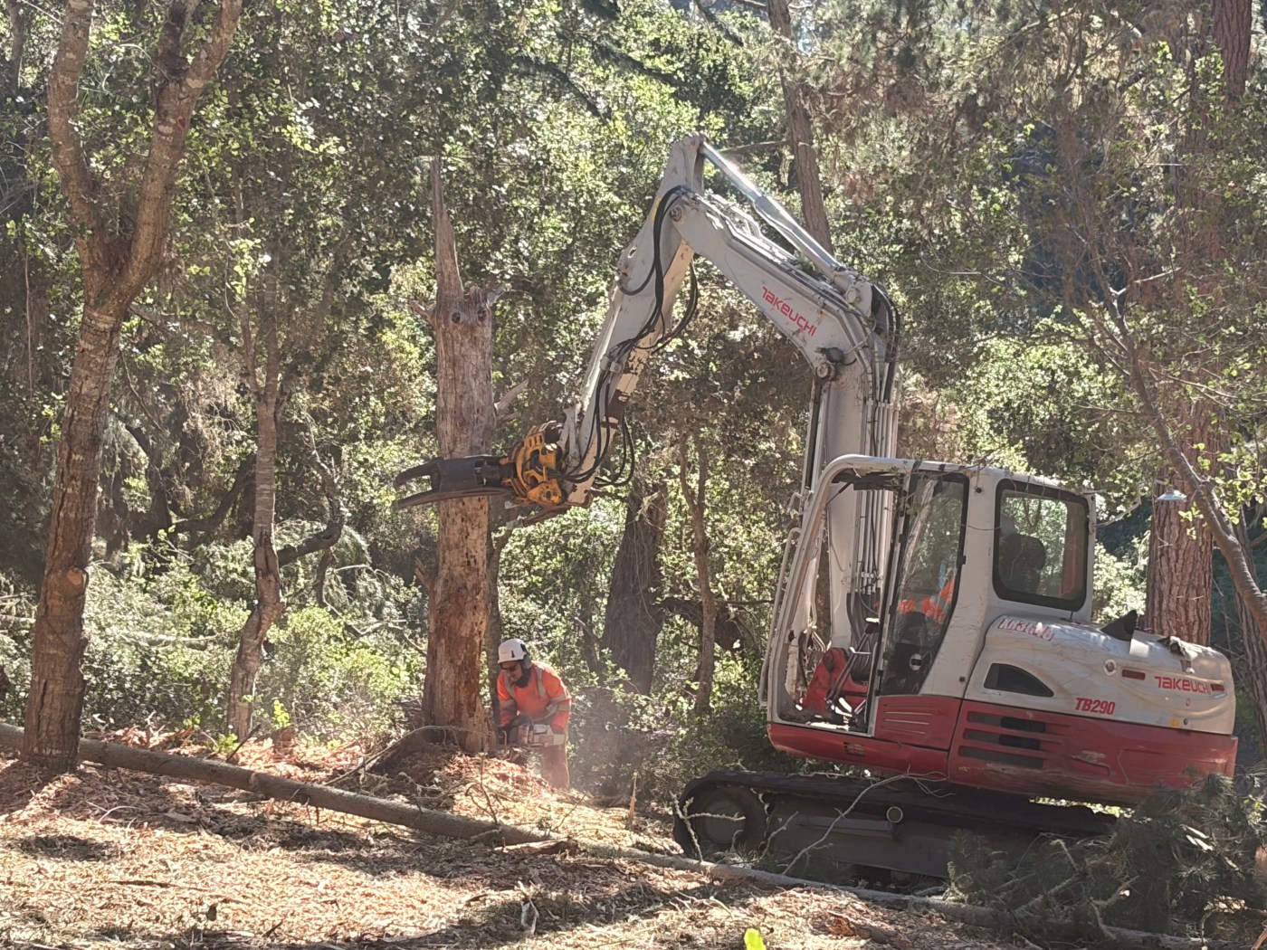 Local officials remind public of fire risk as wildfire season begins