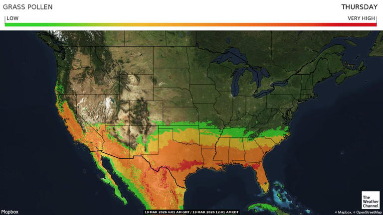 Traveling soon? Here are the maps you need