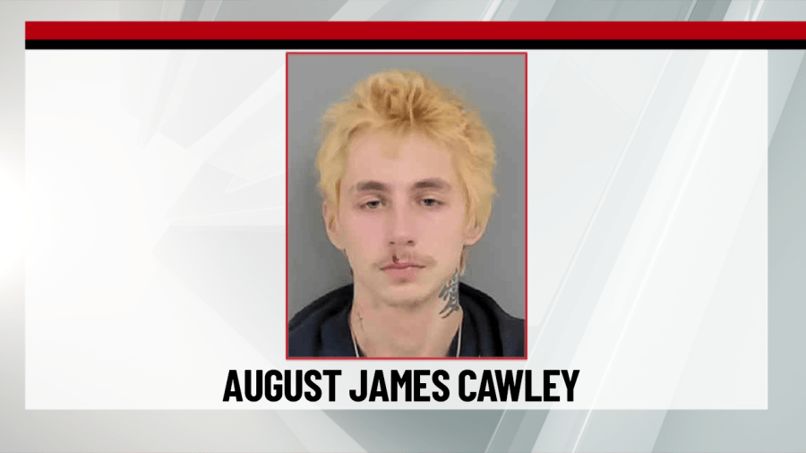 Des Moines man arrested in Marion County vehicle break-in, theft case