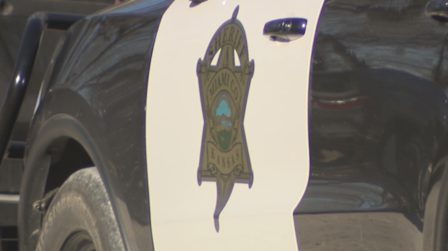 Deputies attempting to locate escaped bull in Miami County