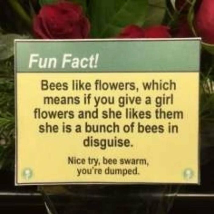 38 Funny Memes If You Like All Kinds Of Science
