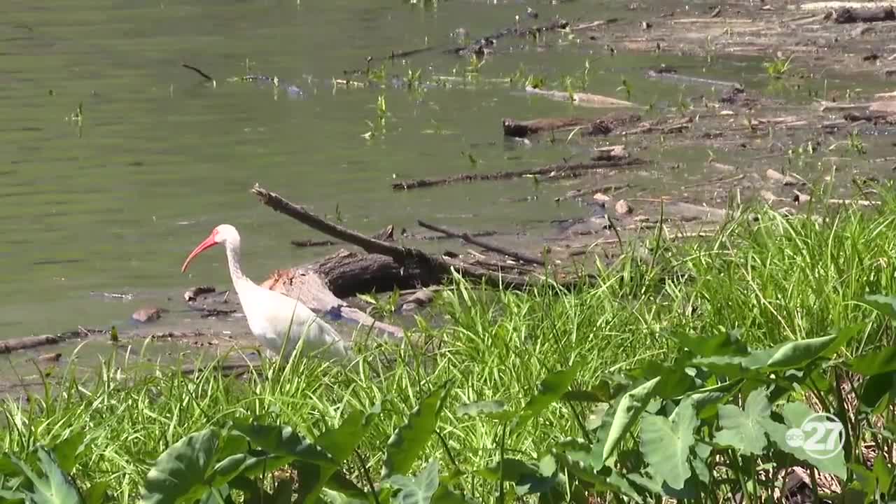 Drought conditions continue to worsen despite recent rainfall