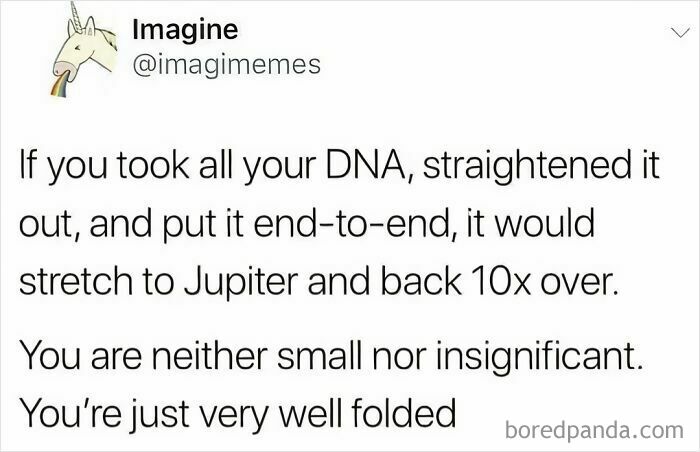 38 Funny Memes If You Like All Kinds Of Science