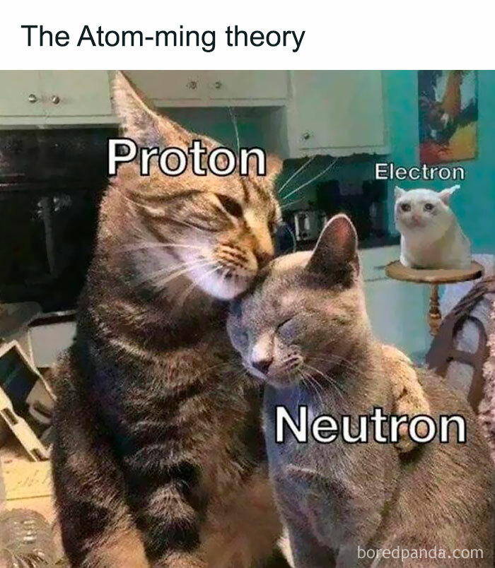 38 Funny Memes If You Like All Kinds Of Science