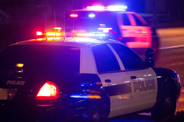 Man charged with abuse of mother's corpse after letting her body rot ...