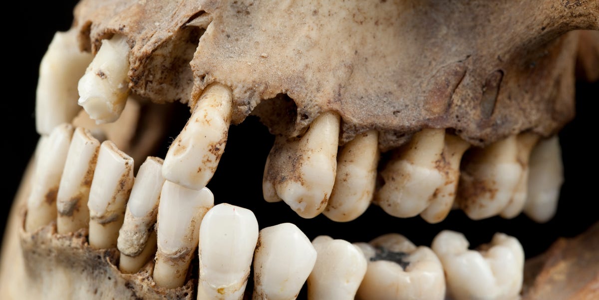 This Tooth Changes Part of Christianity’s History