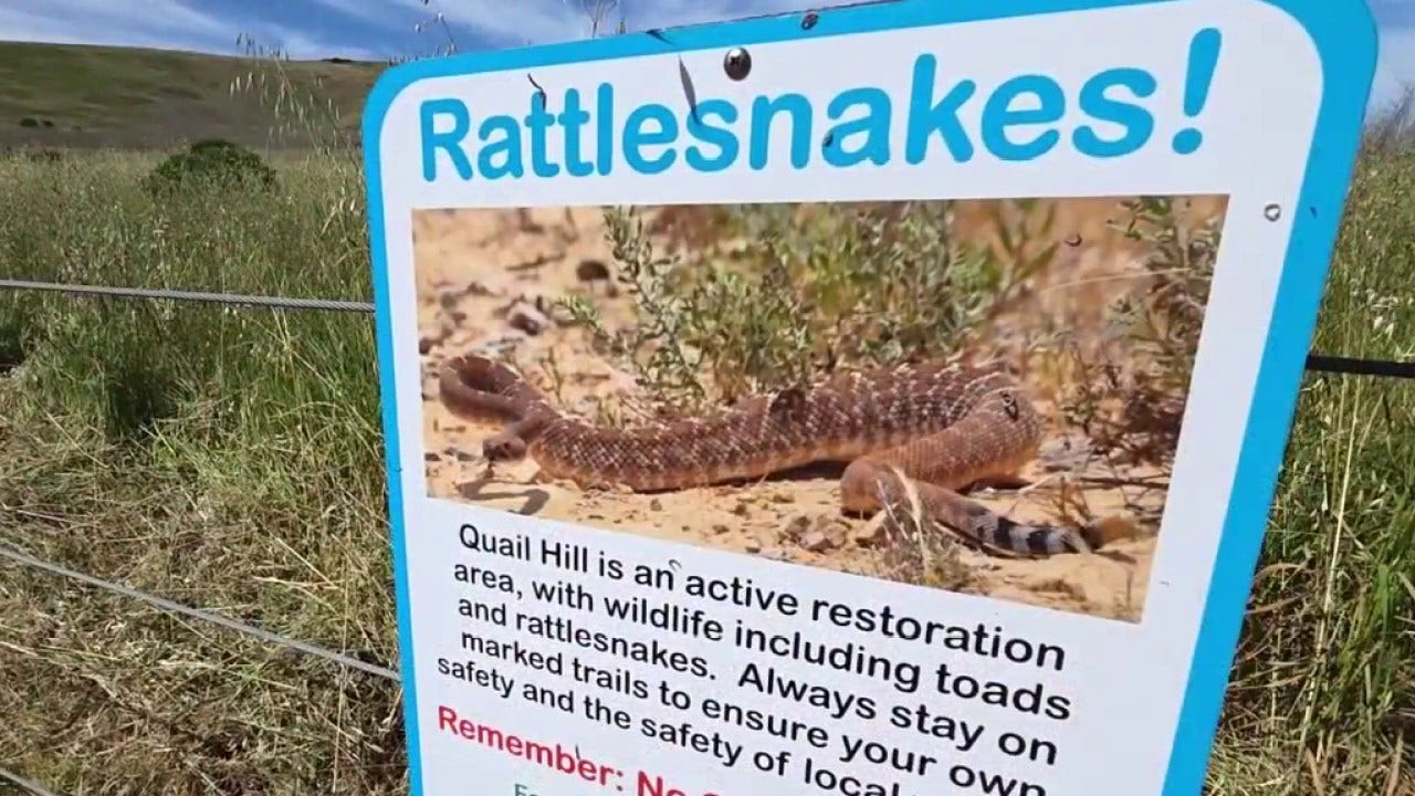 Officials warn of increased snake sightings amid Southern California ...