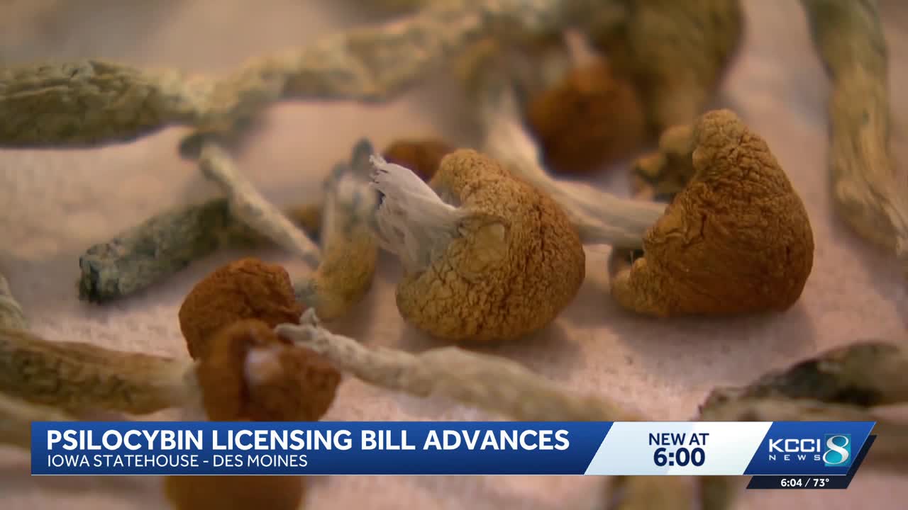 Lawmakers advance bill to regulate psilocybin in Iowa