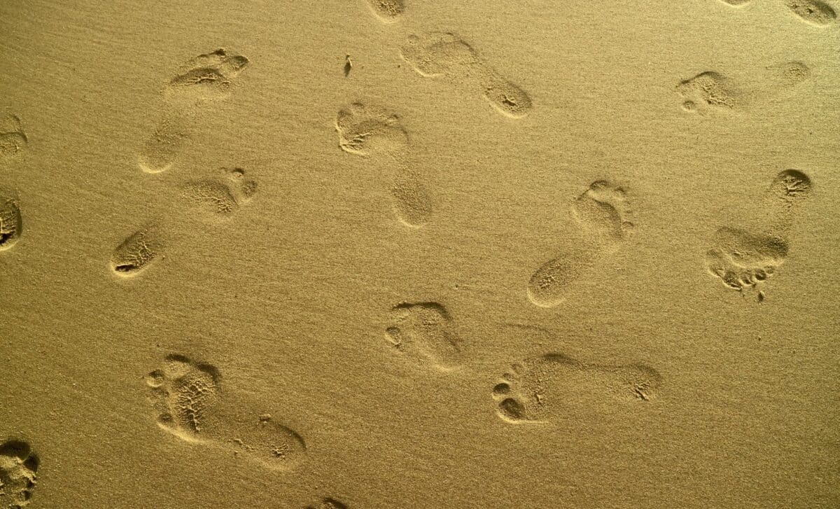 Scientists Discovered 29 Human Footprints Strangely Arranged on a ...