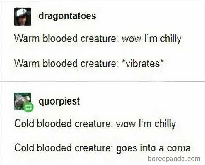 38 Funny Memes If You Like All Kinds Of Science