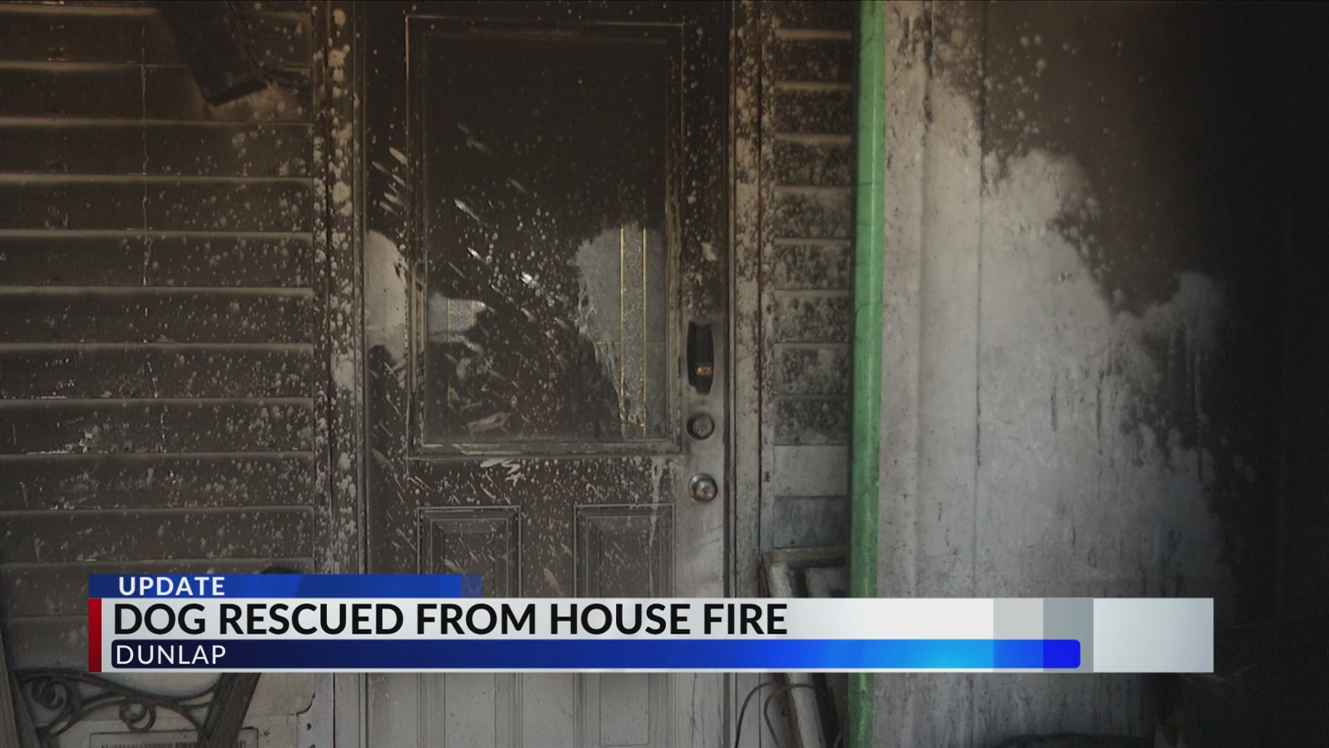 Deputy and firefighters rescue dog from burning home in Dunlap