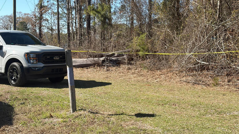 Investigation underway after skeletal human remains found in Edgecombe ...