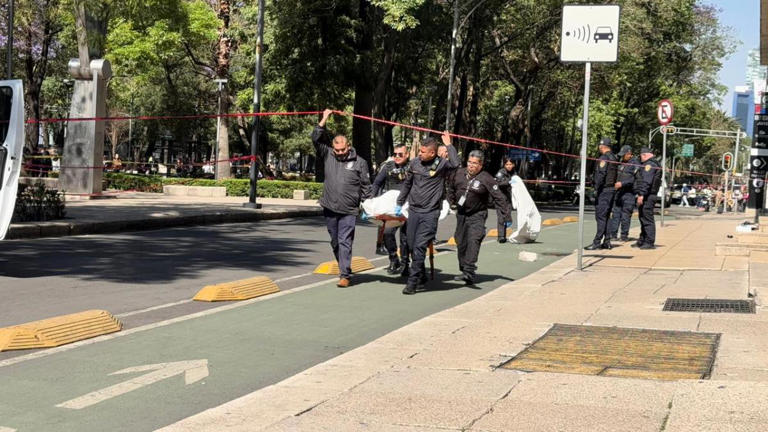 Muere mujer tras caer del piso 12 de Torre Reforma Latino en CDMX