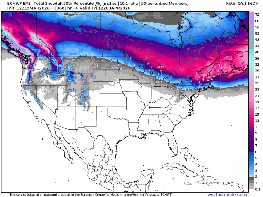AA1Z1Cd4 Sunday Forecast: Chicagoland Weather Plummets After March Roller Coaster Start