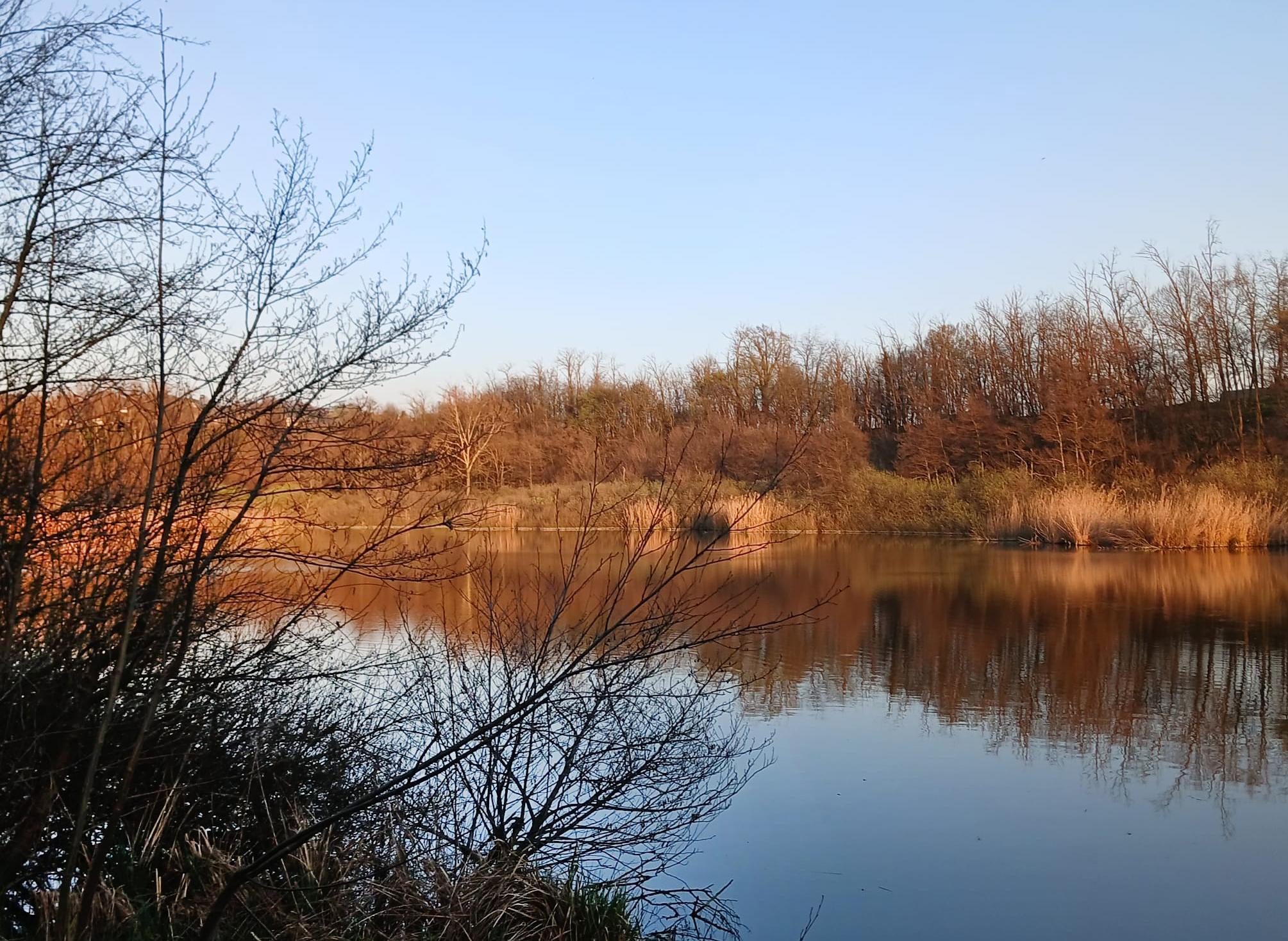 Oasi del Bassone. Mezzo secolo fra arte e natura