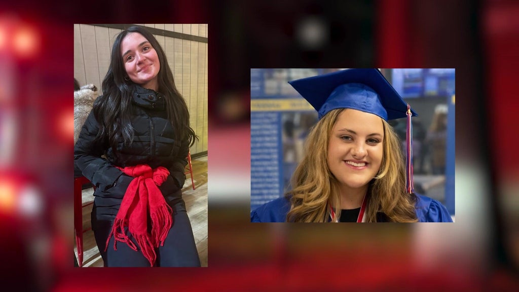 Driver indicted on manslaughter charges in Long Island crash that ...