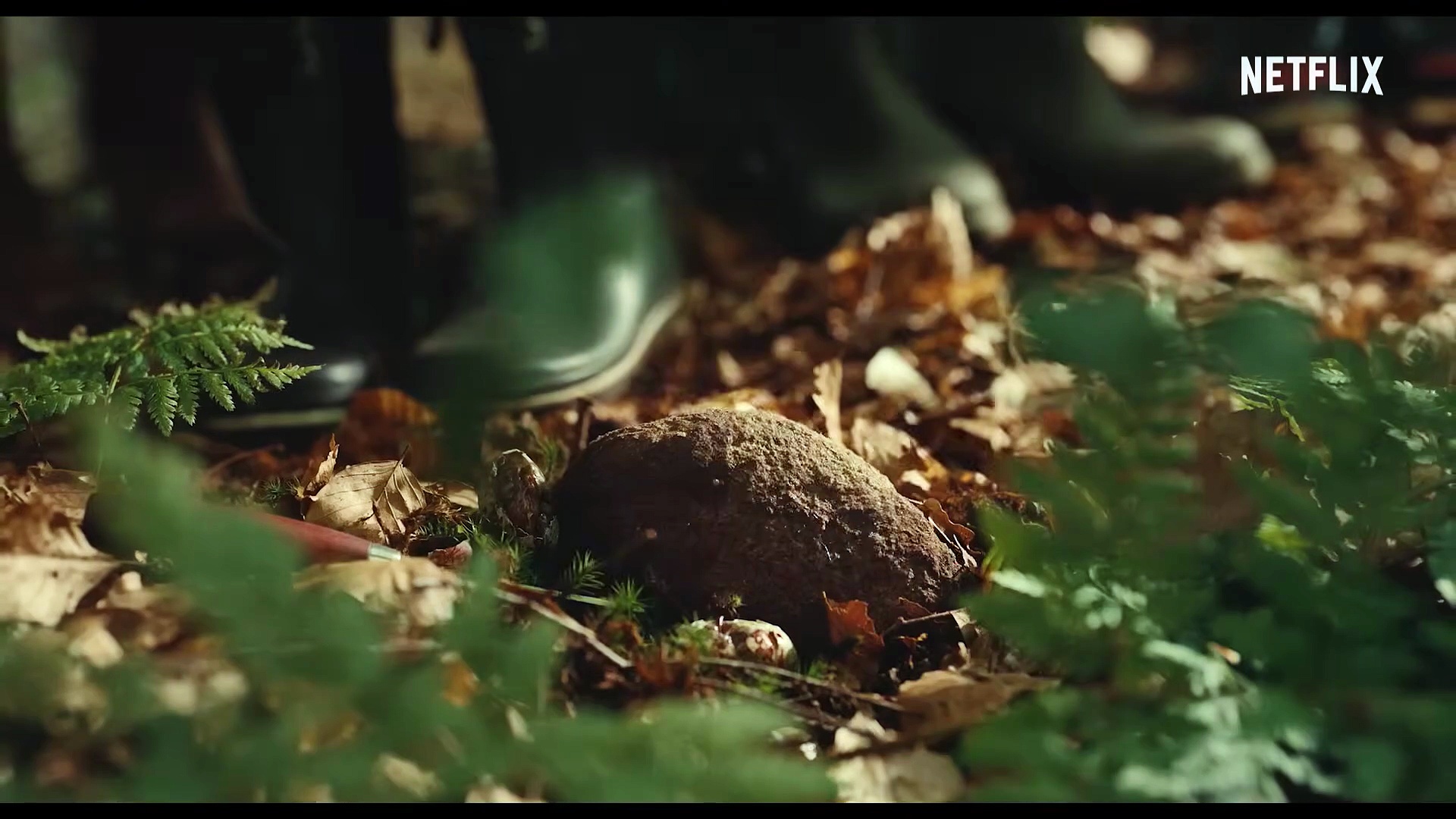 The Chestnut Man season 2