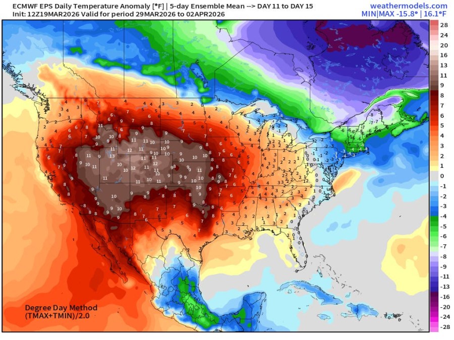 AA1Z1s98 Sunday Forecast: Chicagoland Weather Plummets After March Roller Coaster Start