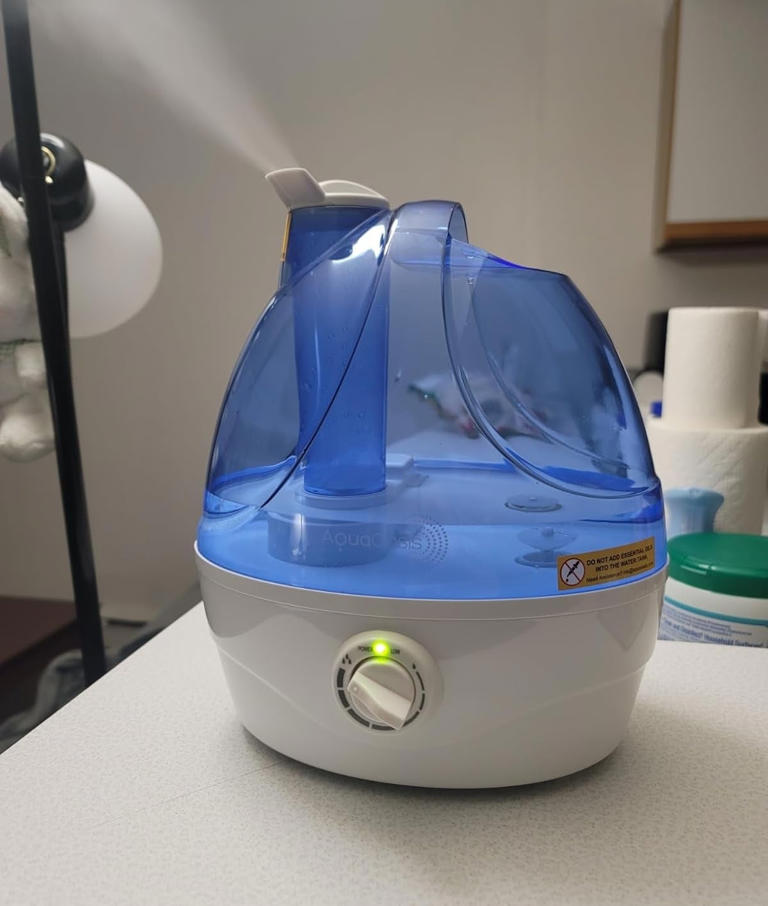 These are the 16 best humidifiers for every room in the house
