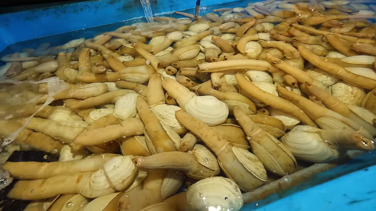 El lujo marino se vuelve espectáculo cuando un solo plato supera los ...