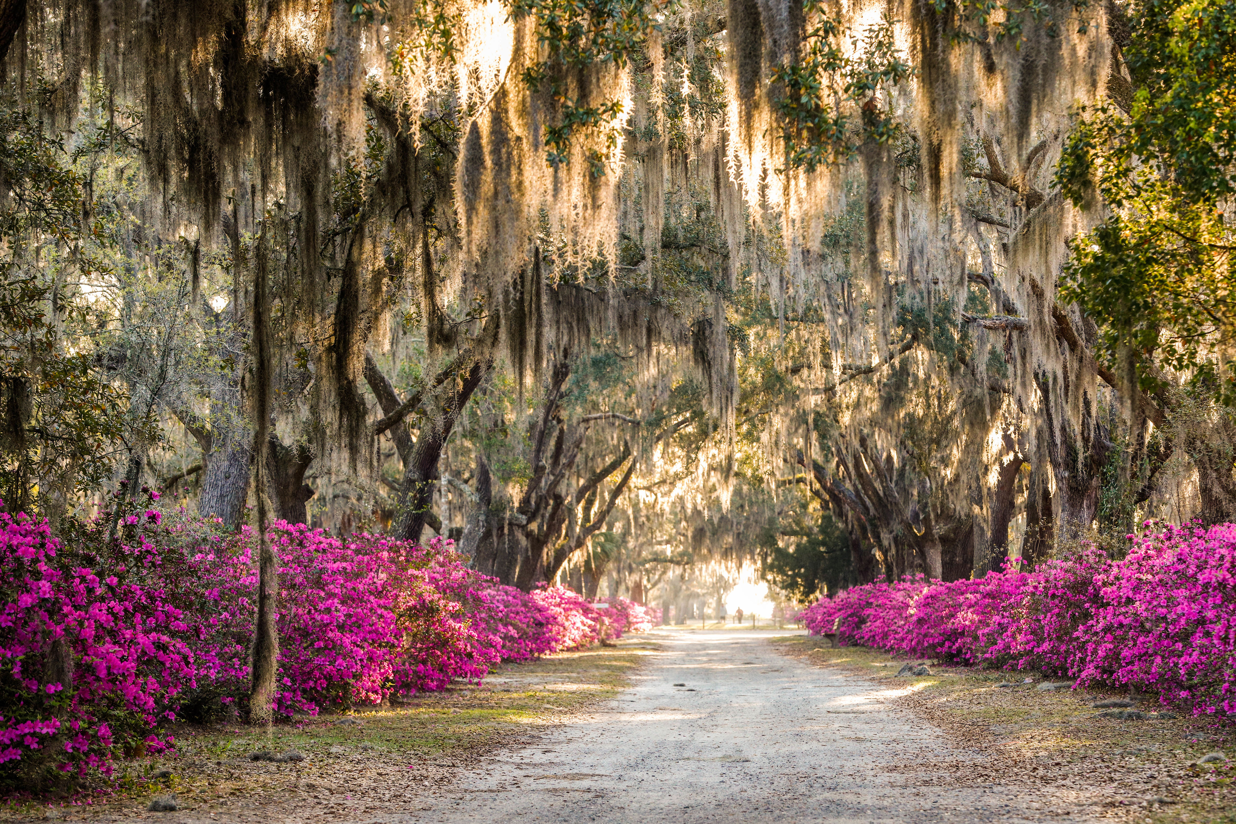 See the beauty of spring in these stunning photos from across the US