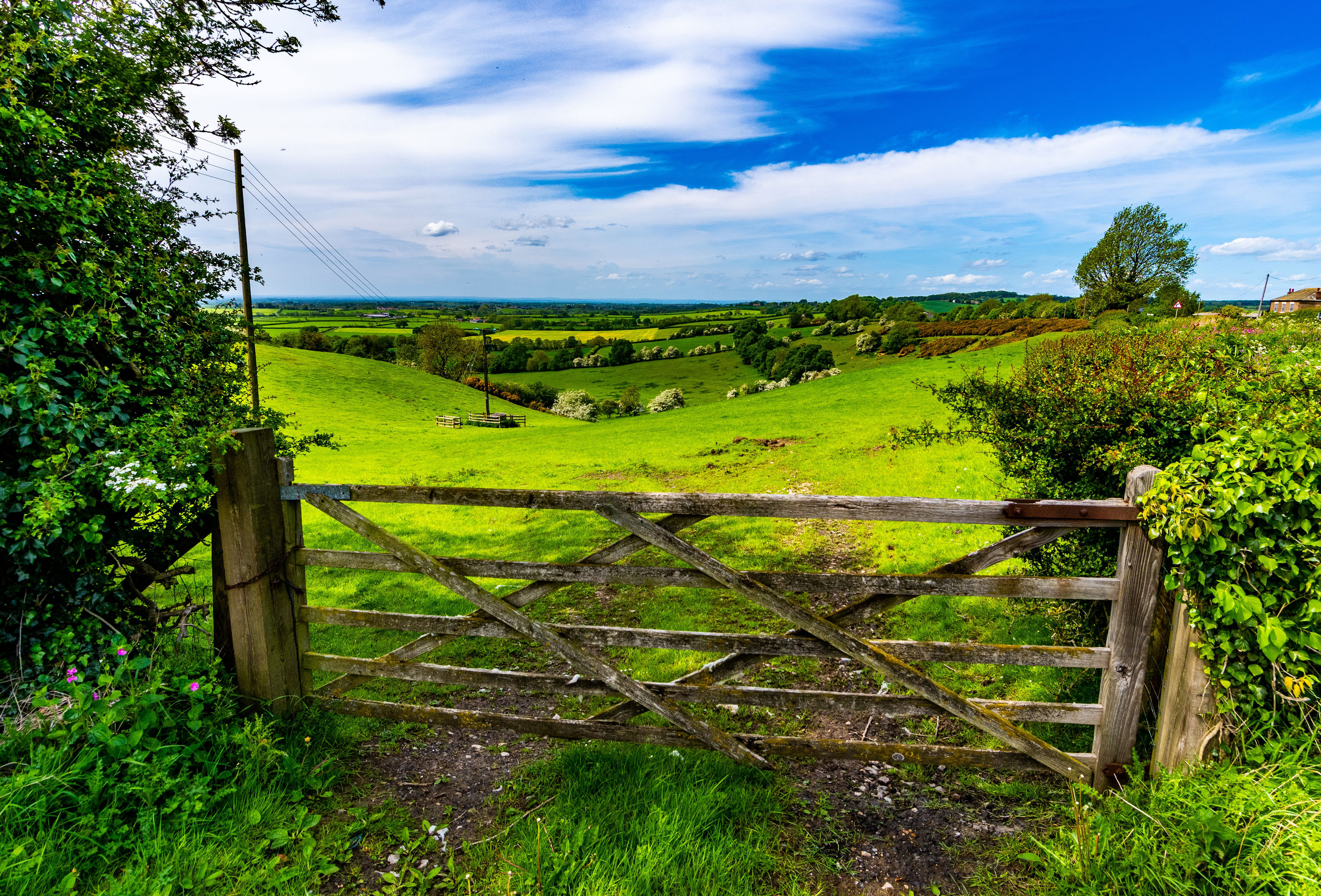 Why the Howardian Hills is one of Yorkshire’s best places to live in 2026