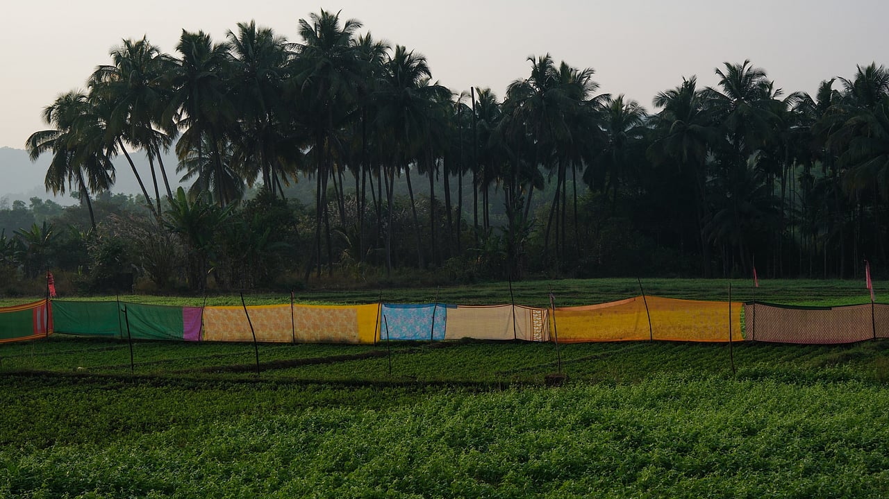 Art exhibition in Delhi explores the many facets of space today