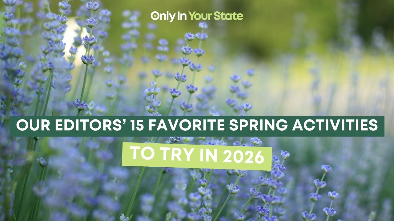 Our editors' 15 favorite spring activities to try in 2026