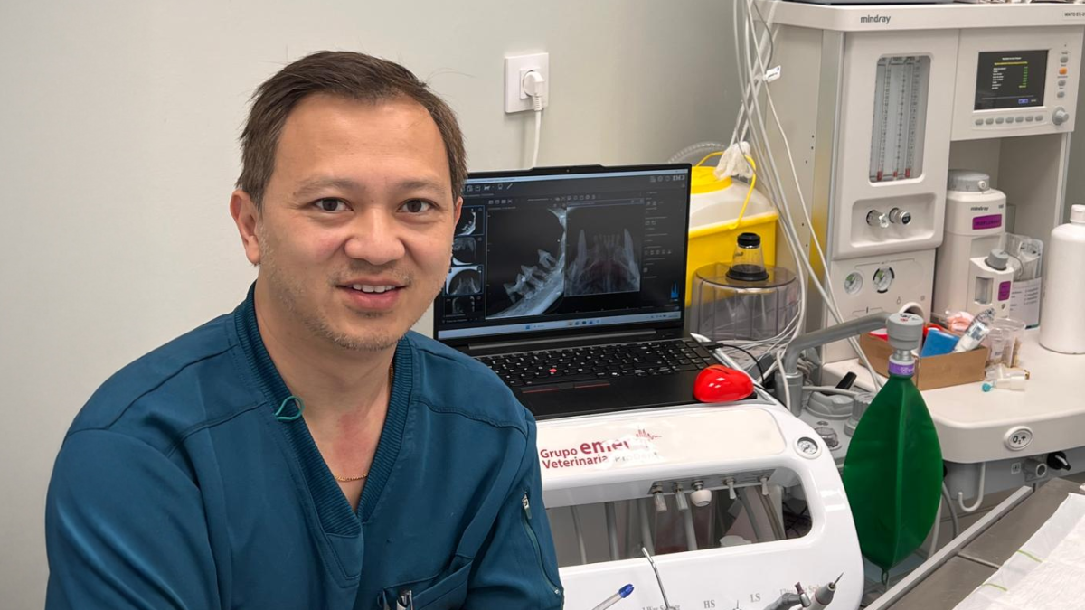 Paulo Chen, veterinario: “Un problema menor en la boca puede afectar ...