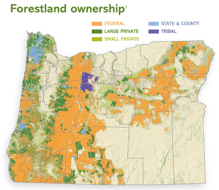 Amid Trump logging push, will Oregon enter new timber era?