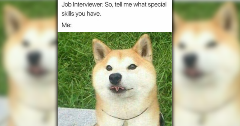 23 sweet doggo delights to welcome spring with smiles and soaring spirits