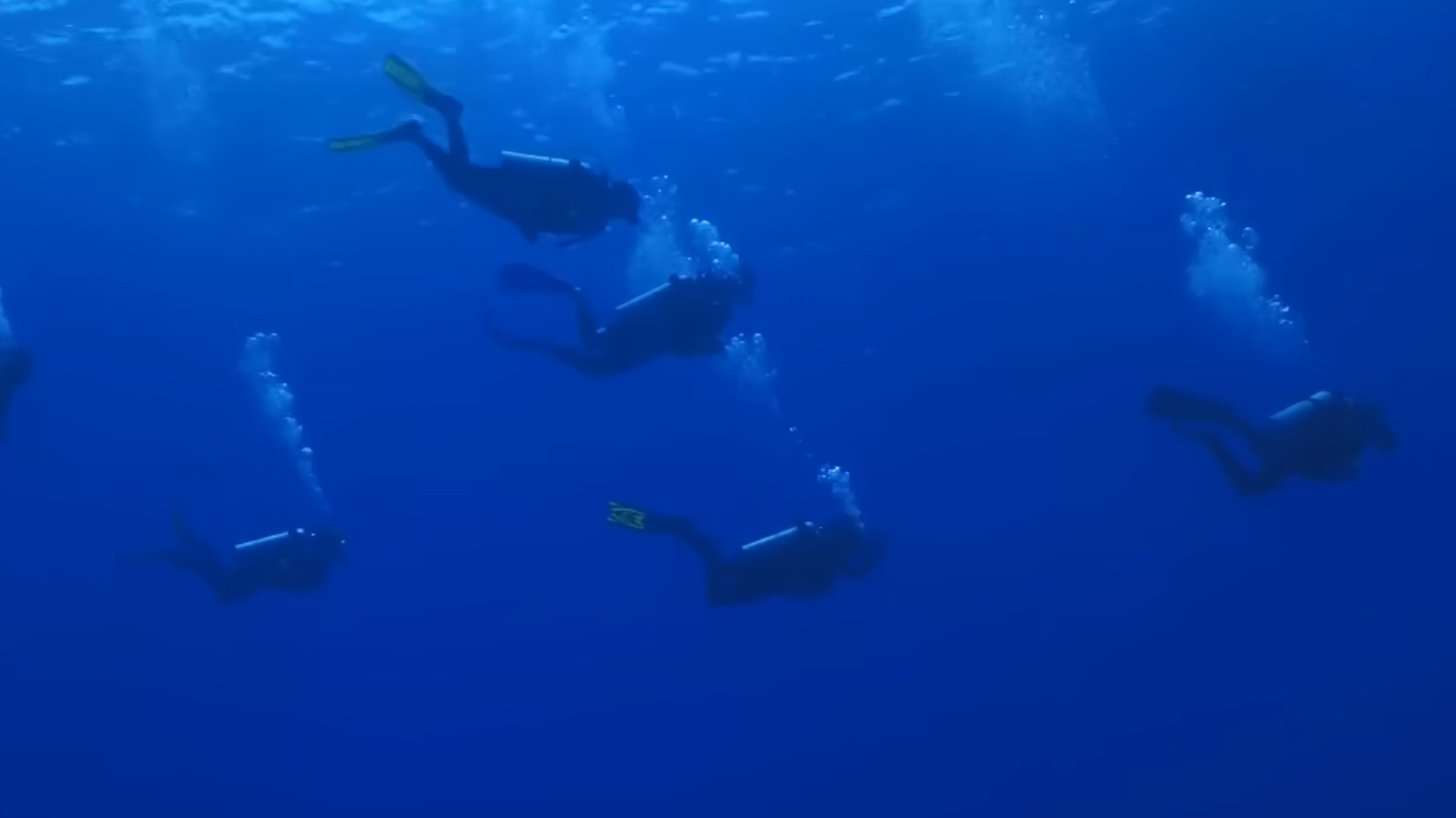 Rescuers reached the scene - and what they found was hard to explain