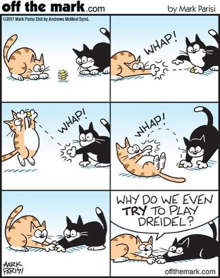 Hilarious life with cats perfectly captured in 36 comics