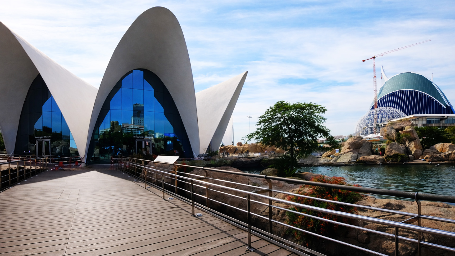 Recorrido por Oceanografic Valencia, el acuario más grande de Europa