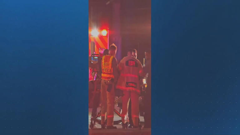 Hit-and-run crash in Orange County leaves man & dog dead, woman ...