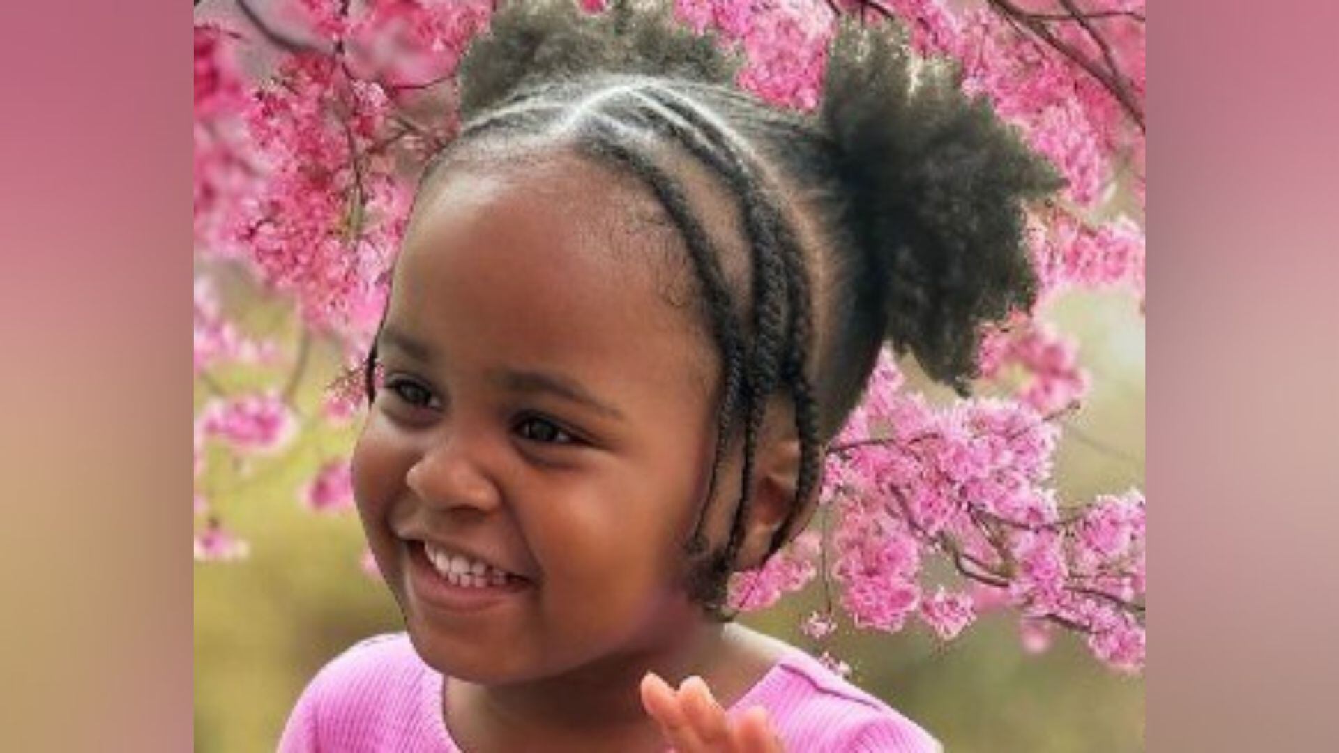 Vigil held for 4-year-old girl stabbed to death at Atlanta apartment ...