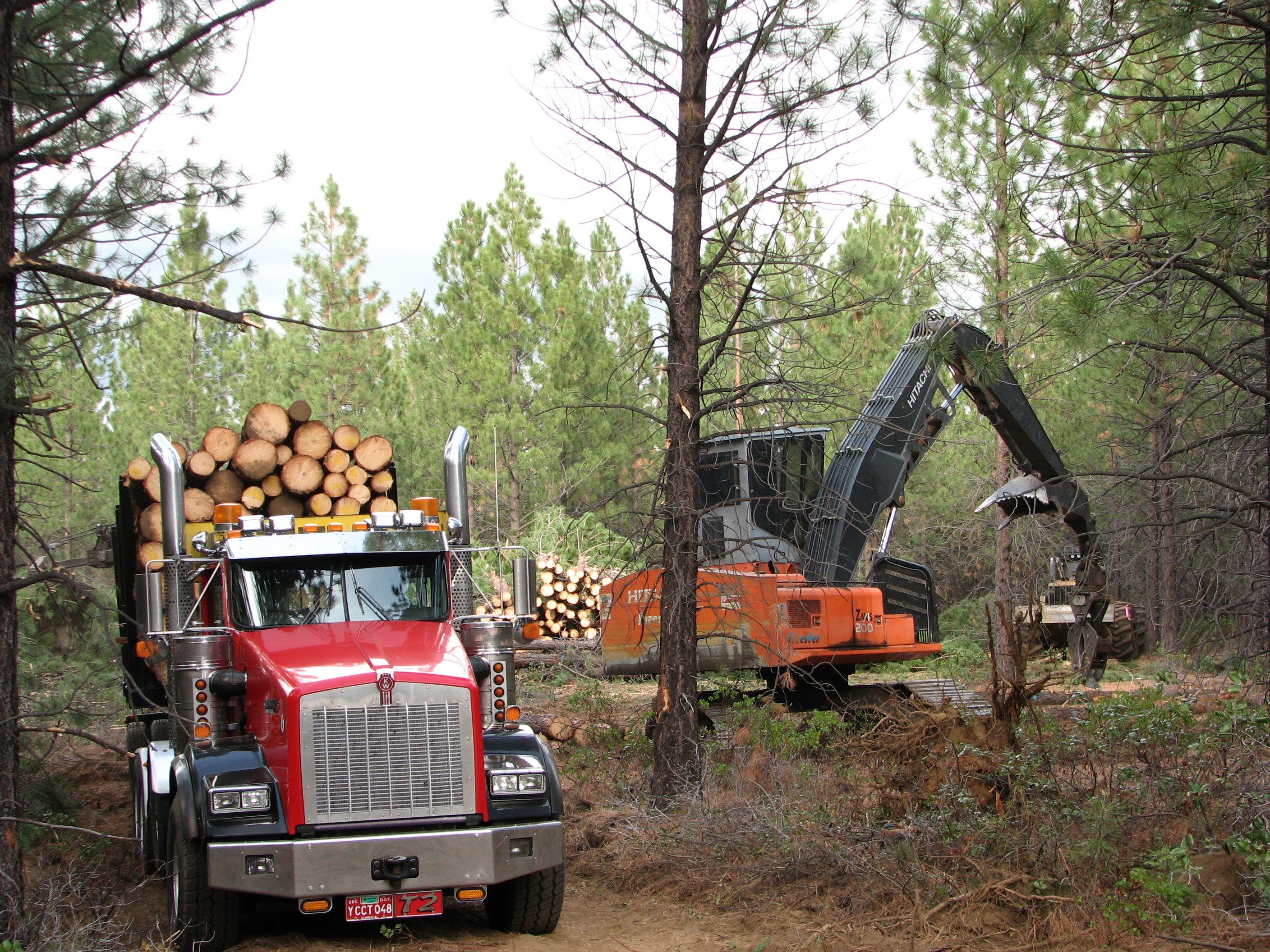 What's the future of Oregon's timber industry? Listen to podcast