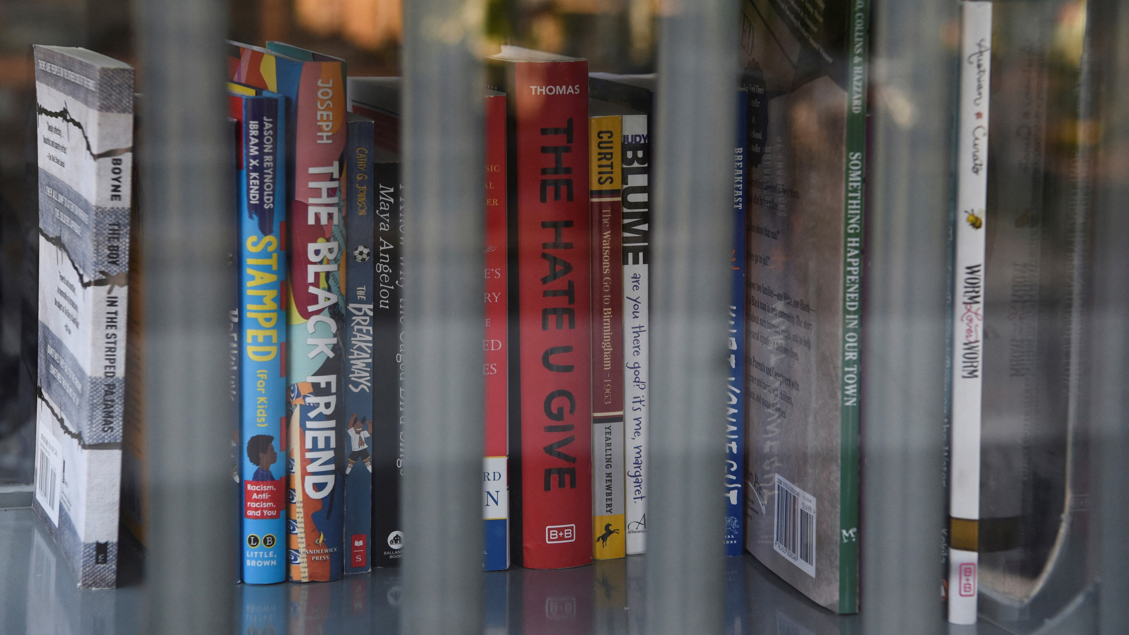 Publisher pulls horror novel after readers raise major problem<br>