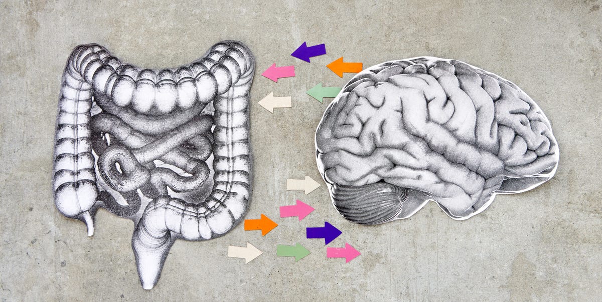 Scientists may have figured out how to keep your memory sharp. The ...