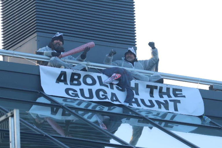 Activists dressed as gannets climb NatureScot in Highlands in guga hunt ...