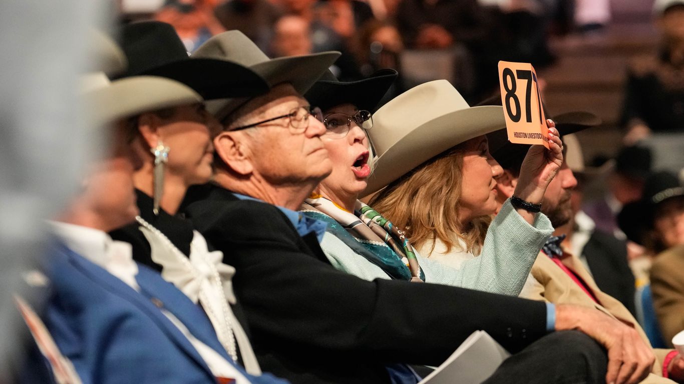 Rodeo Houston sees record-breaking bids at junior market auctions