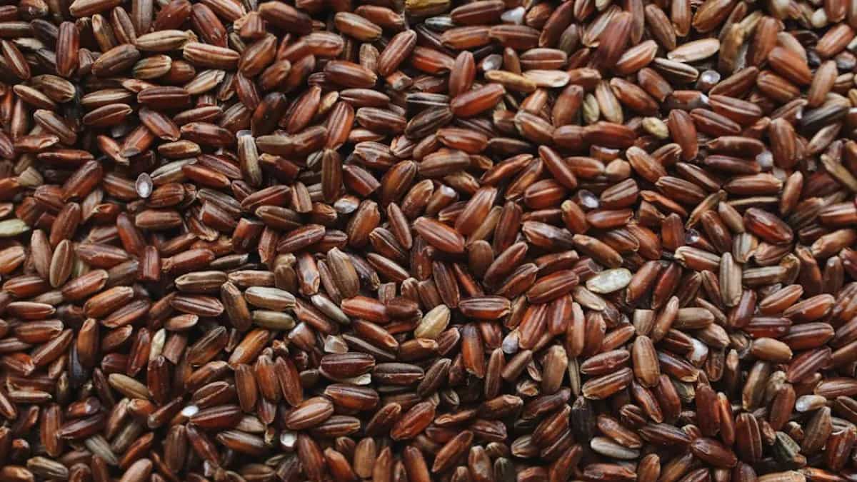 GI tagged 'forbidden rice' from Manipur is a global superfood