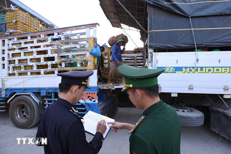 Quy định xử phạt vi phạm hành chính trong quản lý, bảo vệ biên giới quốc gia