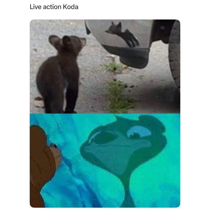 108 Amusing Posts For Your Viewing Enjoyment
